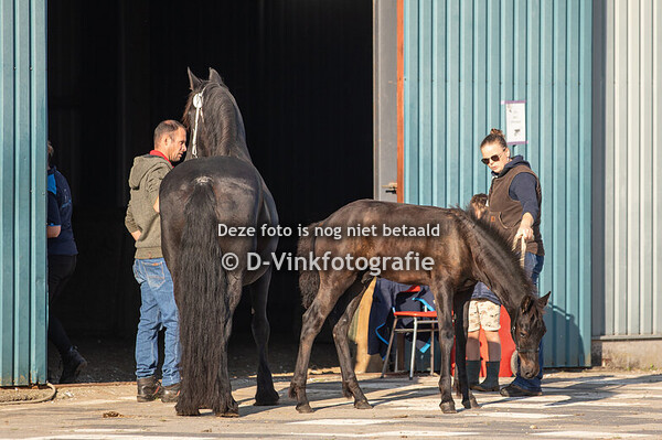 07. Biko fan de Lage Rielen