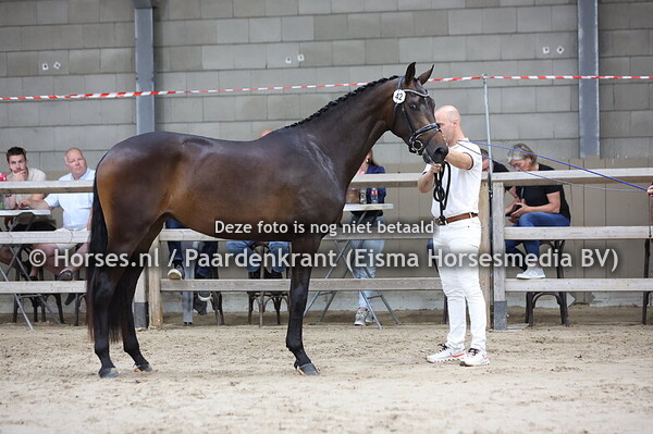 42 Showtime From KVB (Magic Boy x Devede v. Vivaldi)