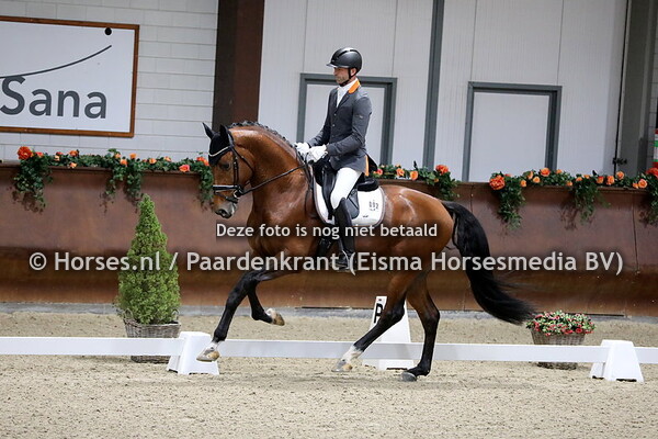 25-10-21 Kronenberg Hengstencompetitie Gelders