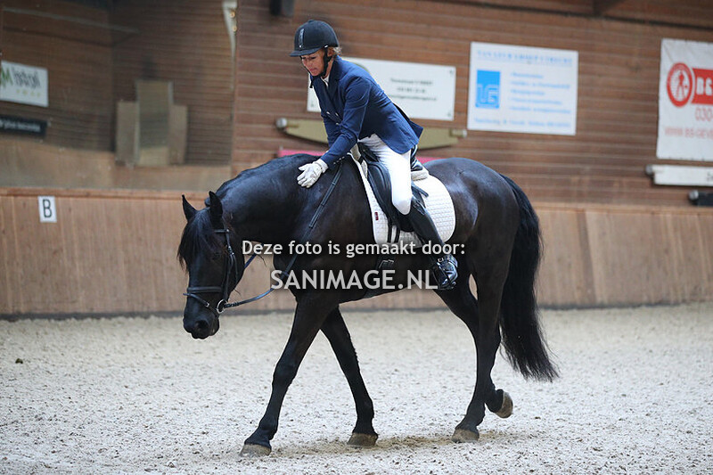 PV Midland Dressuur 11-12-2022 11.00 uur