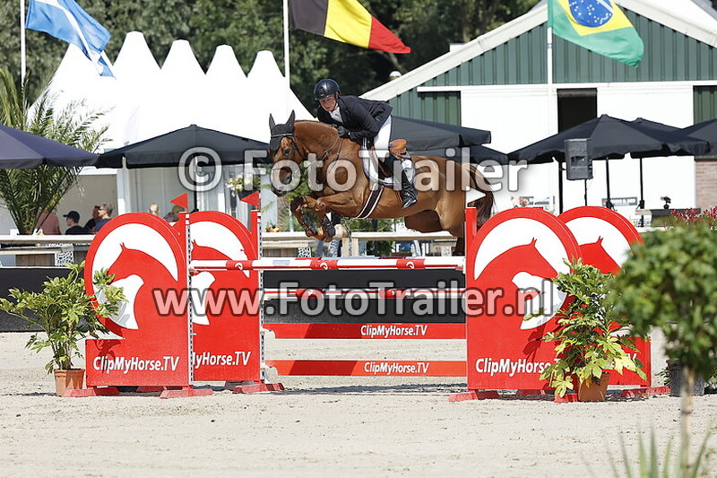 dennis van den brink