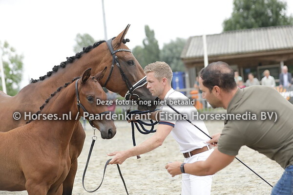 80 Totally Vegas (Las Vegas x Miss Universe v. Franklin) (1)