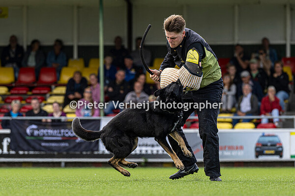 Lot nr 8 Rene van Pinxteren