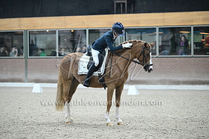 Maddy Pessel - Goldwin's Hoeve Fired Up