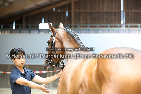 2 Santartica (Ermitage Kalone x Antarticfa v. Kojak)