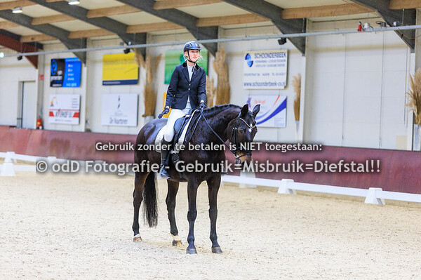 Neuderuiters Dressuur L1 29-11-25