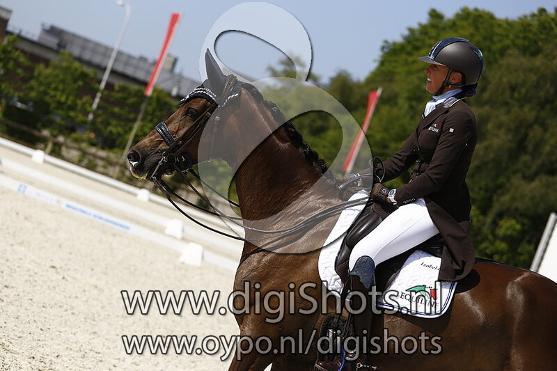 Herr Charmeur Coolhorses