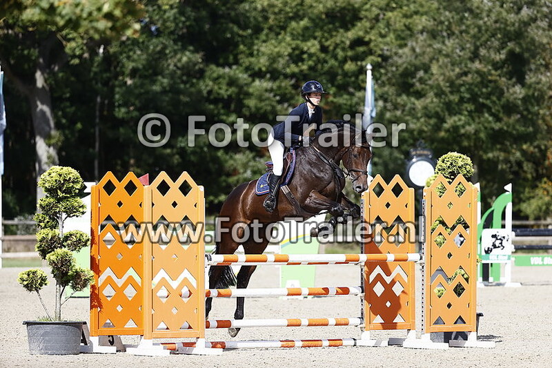 constanca almeida fernandes