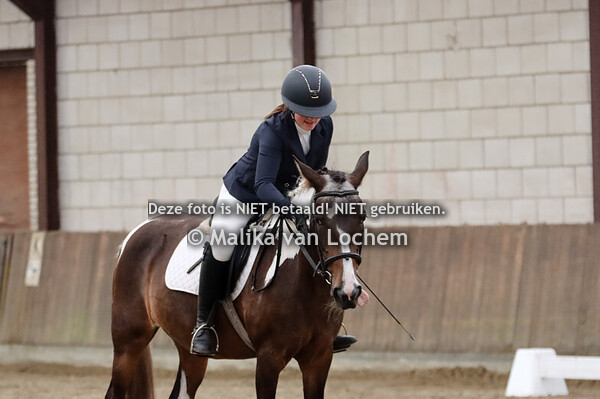 Dressuur manege pony's