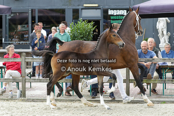 006 - ULTIMEXX ICELLIE X CIZANDRO H. LASSCHE, ROUVEEN