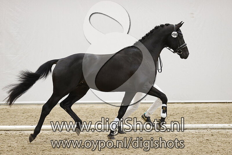 Nagano v. Indian Rock