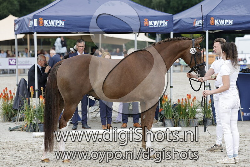 Olivia van de Selevia Hoeve v. Henkie