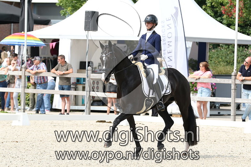 Ring 5 Klasse Z1 paarden