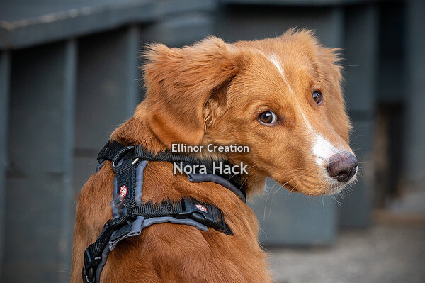 Dinsdag 26 september 2023