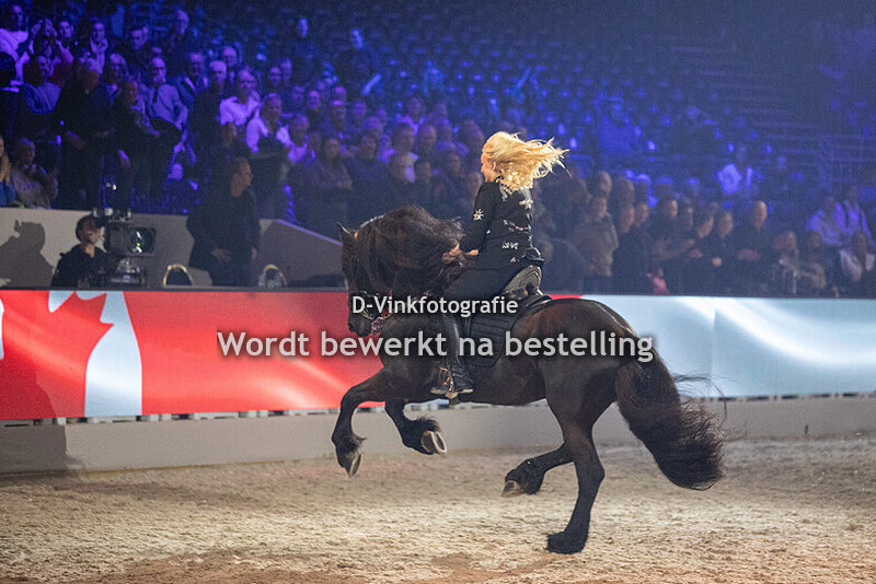 Faderpaard 09-01-2025