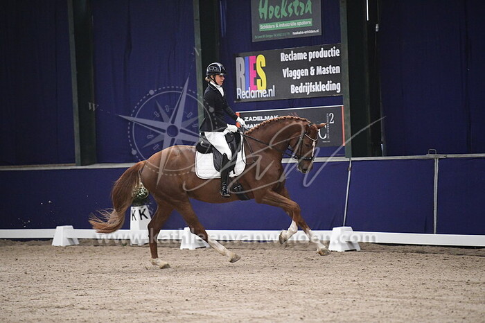 Jessica van den Bosch - Onarawaard