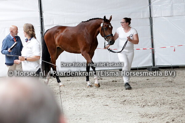 78 Maylin (Geniaal x Valady v. Goodtimes)