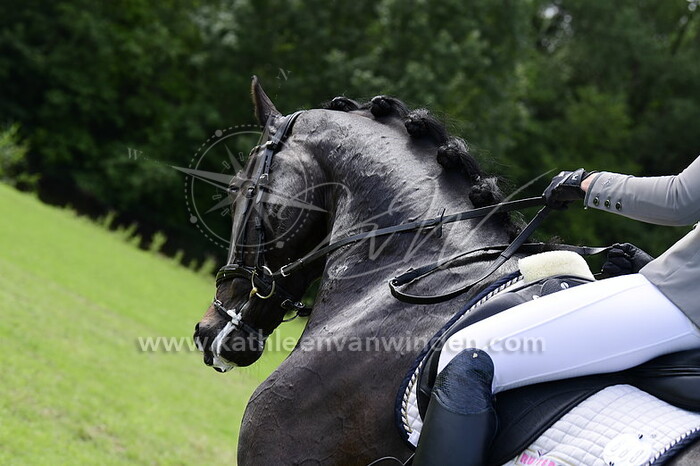 Melissa van der Pijl