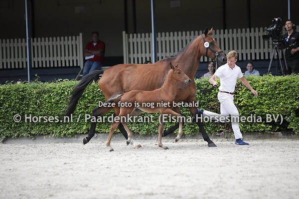 45 Salsalien (Mees van de Watermolen x la Salien v. Comme il faut)