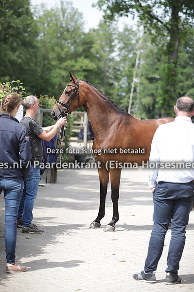 200406 IBOP Ermelo 3 juni