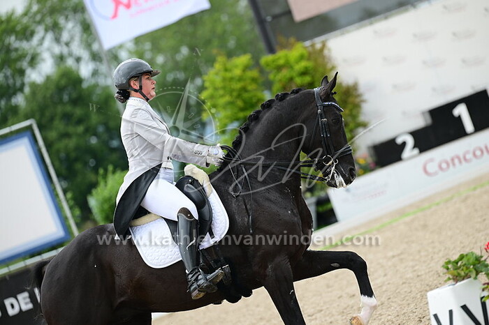 Danielle Heijkoop - Nordic Blue Hors