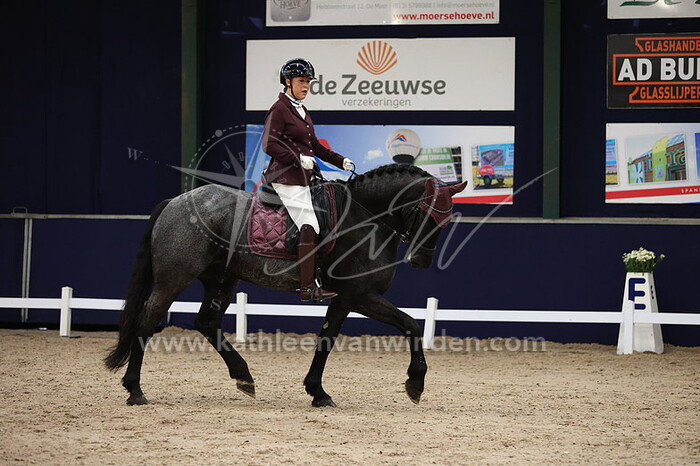 Sandra van de Werken - Bator