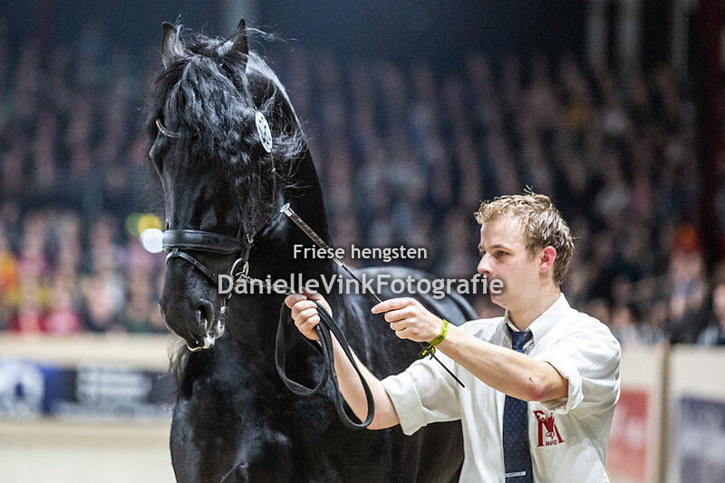 Hengstenkeuring 2020 Menne 496