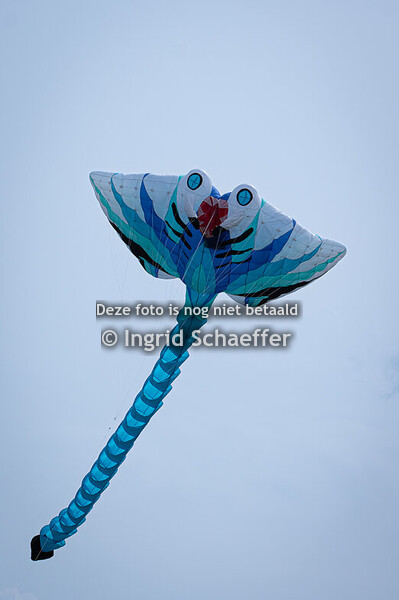 2024-08-18 Rijsbergen - dag 2