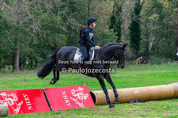 NHRV (Noord Hollandse Ruiter Vereniging) 80cm Paarden