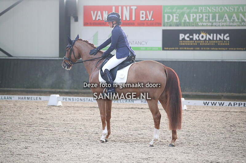 De Voornruiters Dressuur 13-12-2025 12.30-14.15 uur