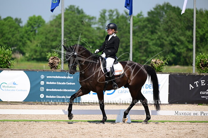 Liza de Vogel - Luciano VD