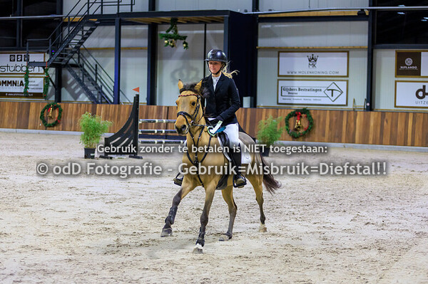 Green Valley Kerst Trophy Pony's 100cm 22-12-24