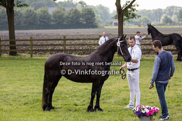 19. Maaike fan Oud Melissant