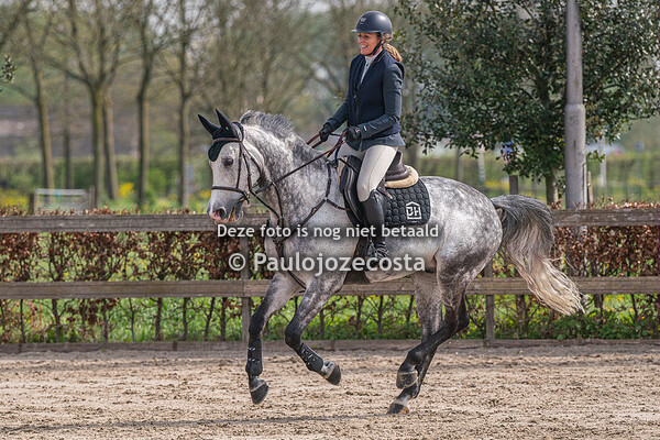 Zilfias 100cm 13/04/2024