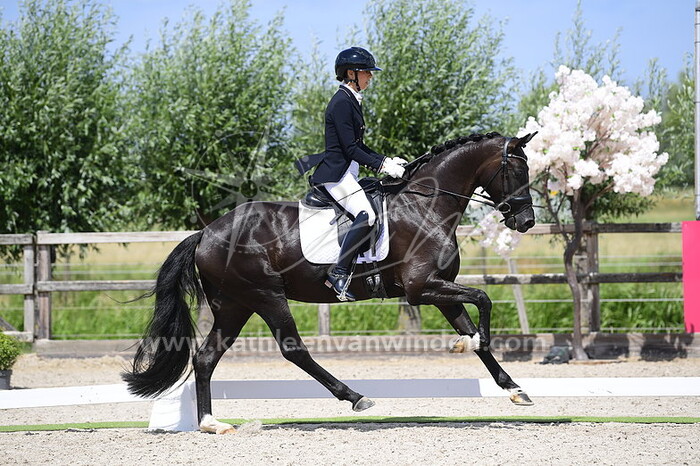 Julie Faiazza - Orange