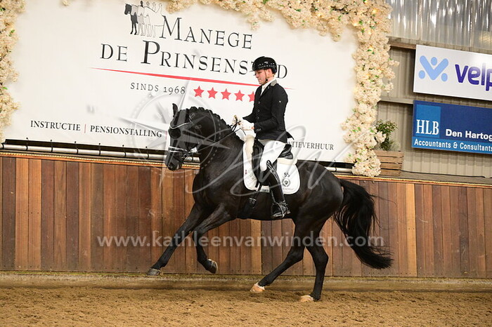 Gerrel Vink - Skyfall