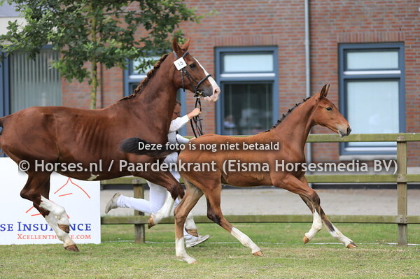 15 Otto v Formidable