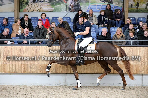 KWPN eindpresentatie najaar 2022 Dressuur en Gelders 19-11
