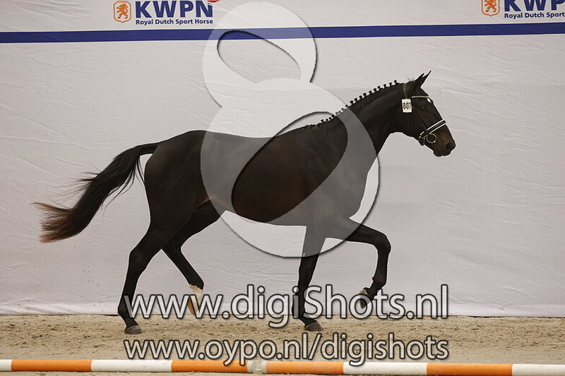 Turbo W v. Total McLaren