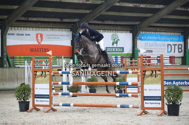 Stal Groenendaal Springen Paarden 12-01-2025 130/135 cm