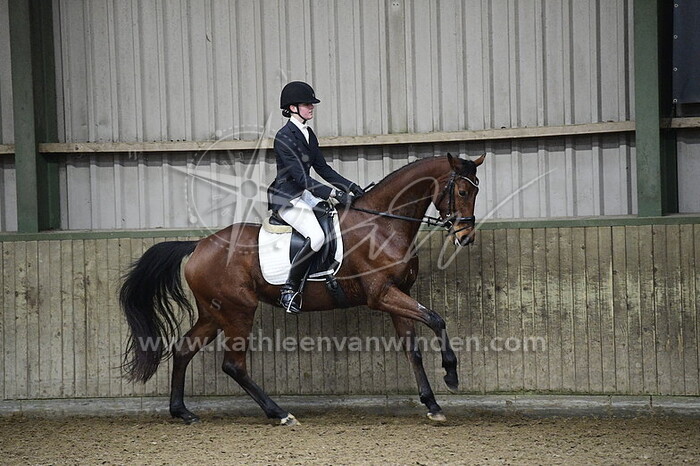 Jantine Vernooij - Nova De Luxe