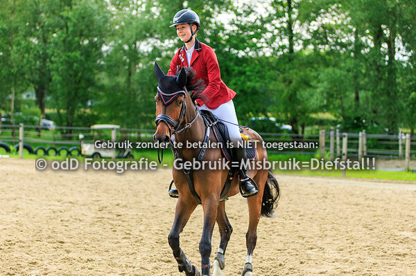 CH Manege Sintels Pony 110-120 de 19-05-24