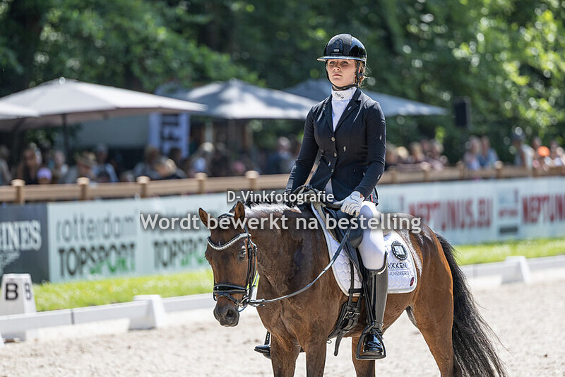 Levi Heusinkveld - Tjiesto