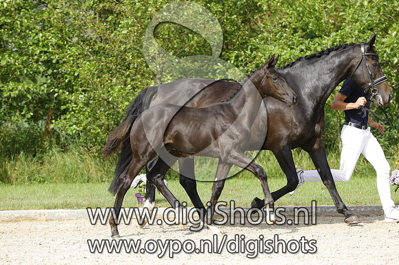 Glock's Toto Jr x Rousseau