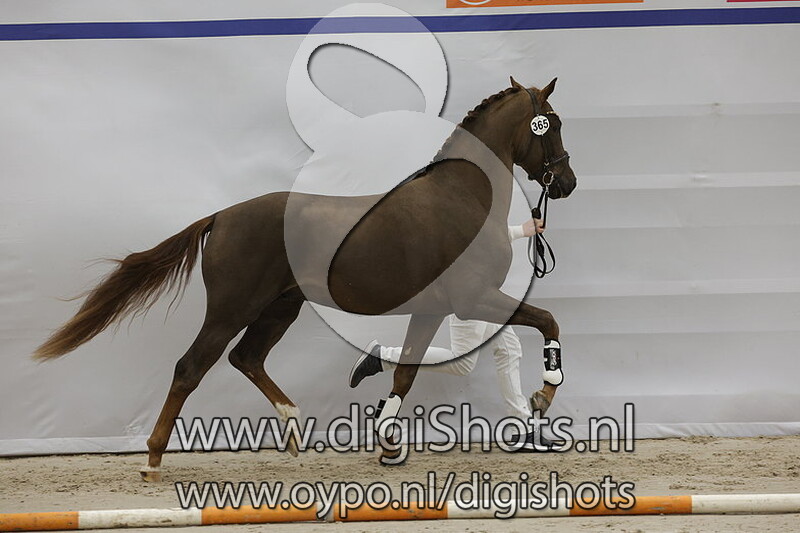 Ruby Tuesday v. Franziskus - 365