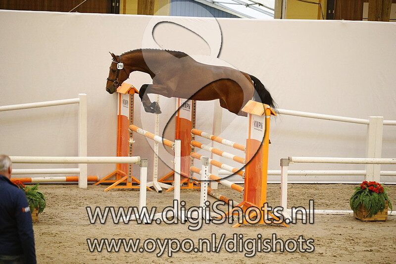 216 Lucky Luke DDH v. Lord Sandro