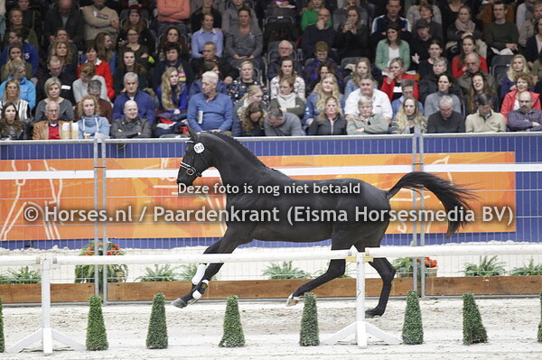 8e groep dressuur vrijdag 1 feb 2019