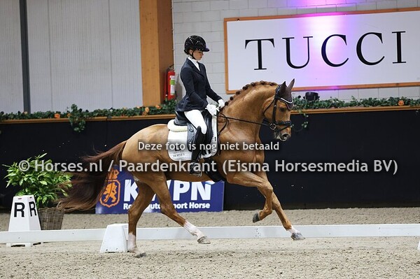 10-11-25 Kronenberg KWPN HC Klasse M