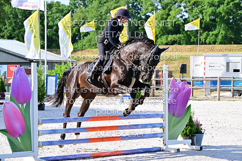 1 Oefenspringen paarden 70-80 cm