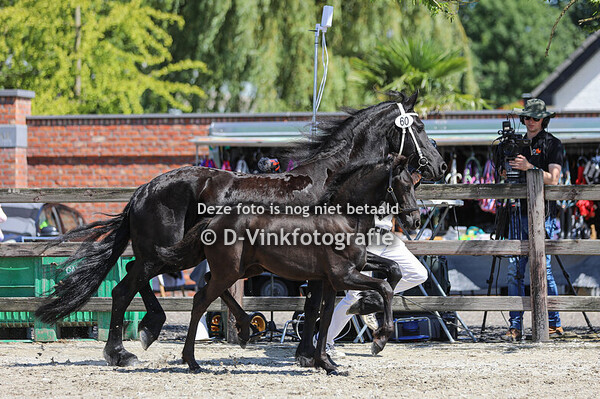 60. Chic van Dynamis